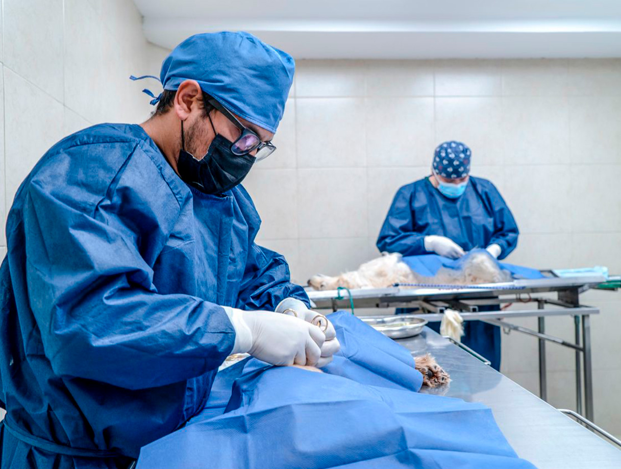 Esterilizaciones