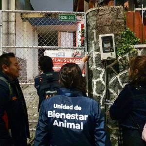 UBA rescata a dos perros en night club de Quito  